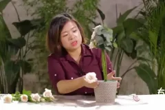 20节插花视频教程：花艺技巧与生活美学