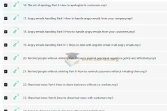 Wise Email Writing 商务英语邮件写作系列课程