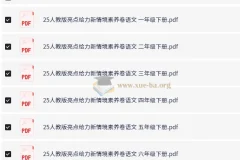 小学语文 2025人教版亮点给力新情境素养卷