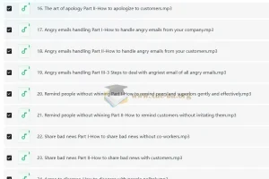 Wise Email Writing 商务英语邮件写作系列课程