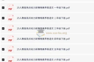 小学语文 2025人教版亮点给力新情境素养卷