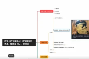 《萌宠播客新赛道，播放量10W+秘密解析》[MP4]