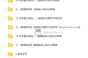 2025 陈潭飞 初三化学中考化学培训班 春上·全国版·A+