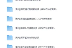 《澳洲 JJ哥英语视频课程合集》[MP4]