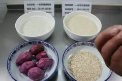 早餐创业全攻略：85款热门早餐技术教程