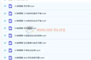 2023高考物理 崔珊珊物理 暑假班