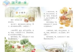 《小学作文秘籍：课文里的写作技巧全解析》