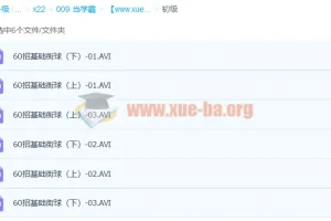 140招街球篮球初中高级标清教学视频 分享