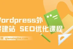 【精】WordPress外贸建站+SEO优化课程，手把手教你从0到1搭建可获得询盘的外贸网站