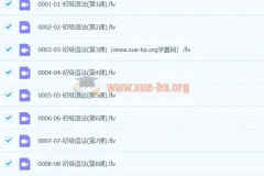 初中英语 初级语法 60课视频 FLV + PDF讲义