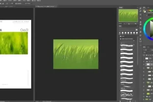 风绽主观设计概括特训营：掌握核心技巧，提升设计能力