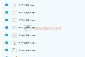 思思大王2022大刊牛文第一季（寒假）