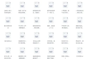 《书旗会员小说完结榜：500本精校TXT小说推荐》