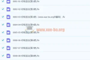 初中英语 初级语法 60课视频 FLV + PDF讲义