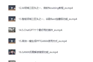 《船长-AIGC商业实战应用课》手把手教学，商业落地，学以致用，实现第二职业腾飞[MP4]