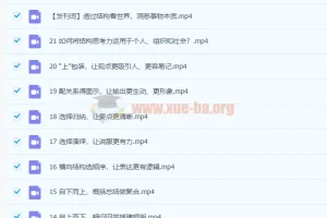 像麦肯锡顾问一样思考 21讲完结