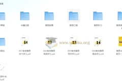考虫雅思系统班 【29.7GB】