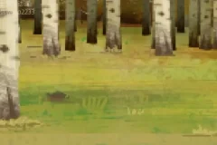 土豆逗野外生存指南：10大绝境自救技巧