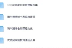 《家庭教育系列课集》（北大花花+清华楠楠+清华潘潘+沈奕斐）[MP4]