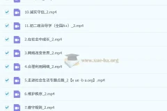 初中政治 韦墨 2026届 2024-2025初二政治 暑假班 秋季班