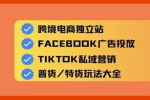 Aron老师跨境电商独立站及全域流量营销课