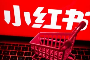 小红书电商实战方法，让你从小白到精英，保姆级教程