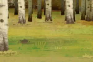 土豆逗野外生存指南：10大绝境自救技巧