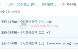 王伟数学 2024高三高考数学押题冲刺班