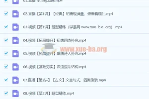 2024高中语文 高一张亚柔语文 寒假班