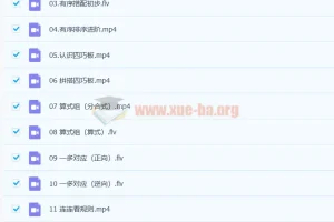 杨彬 2020暑 中班升大班数学思维目标S班（22讲完结带讲义）