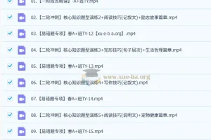 2025初三中考英语 王凯皎英语 暑假 秋季 寒假班 春季班