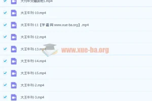 大王卡大刊牛文精讲班-结课