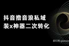抖音撸音浪私域装x神器二次转化，单日变现超500（详细操作教程）