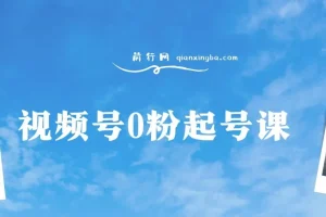 视频号0粉起号课程 实操带上起号 把你的货盘搬视频号 自然流结合微付费