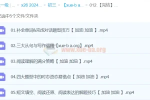 【完结】【2024中考】中考英语复习冲刺