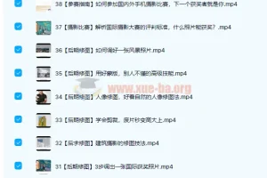 跟全球最牛“年度最佳摄影师”学摄影！ 39讲完结