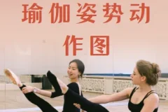 瑜伽姿势动作图,按主题排课姿势图