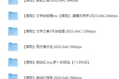 《蒋勋：大师课合集》 全11套[MP3]