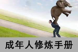 成年人修炼手册（一套4本合订版）