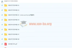初中语文 作文写作 袁氏作文初中版