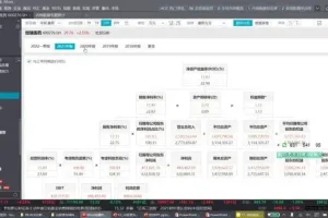 财务分析与商业决策实战：分析师思维全攻略