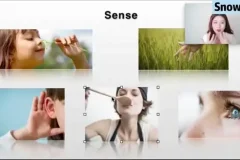 Snow英语口语课：零基础到流利说