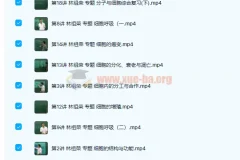 高中生物 高一生物必修1必修2同步基础课程98讲合集