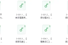 【不一样的新概念英语 第3册音频学习】