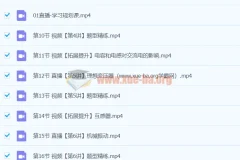 2024高中物理 高二物理 宋雨晴 A+寒假班