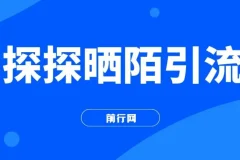 探探陌陌日引200粉，小白新手可做，当天就能变现300+