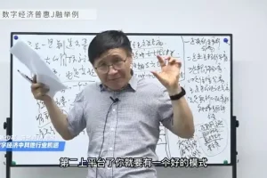 《数字时代财富指南：快速掌握数字经济入门》