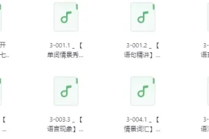 【不一样的新概念英语 第3册音频学习】