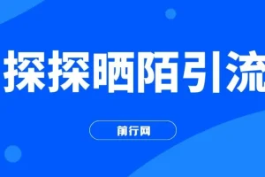 探探陌陌日引200粉，小白新手可做，当天就能变现300+
