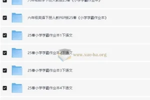 小学学霸作业本·语数英 (2025春)